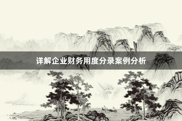 详解企业财务用度分录案例分析